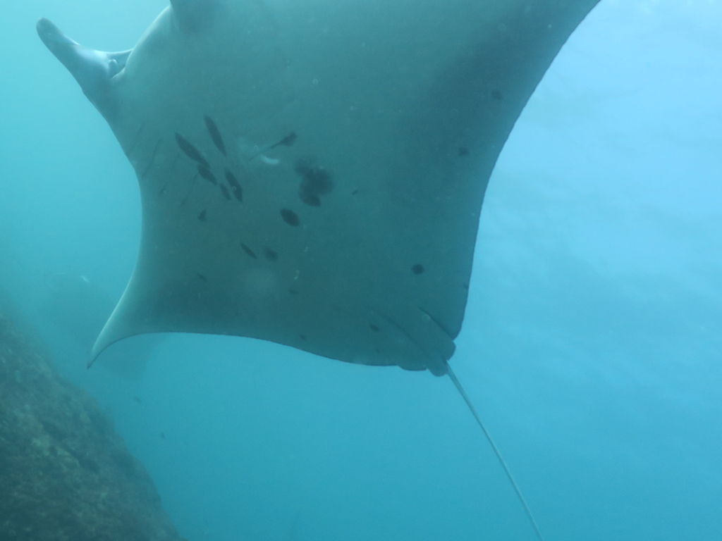 5adbf9cb-0b52-4905-83a6-1c2e6fcad525