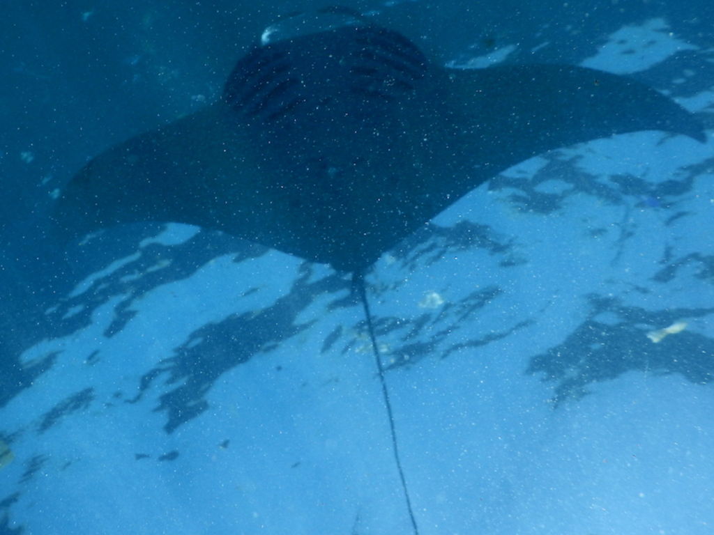 ae6550f4-5db9-40ef-9d50-871d2e3d7bd6