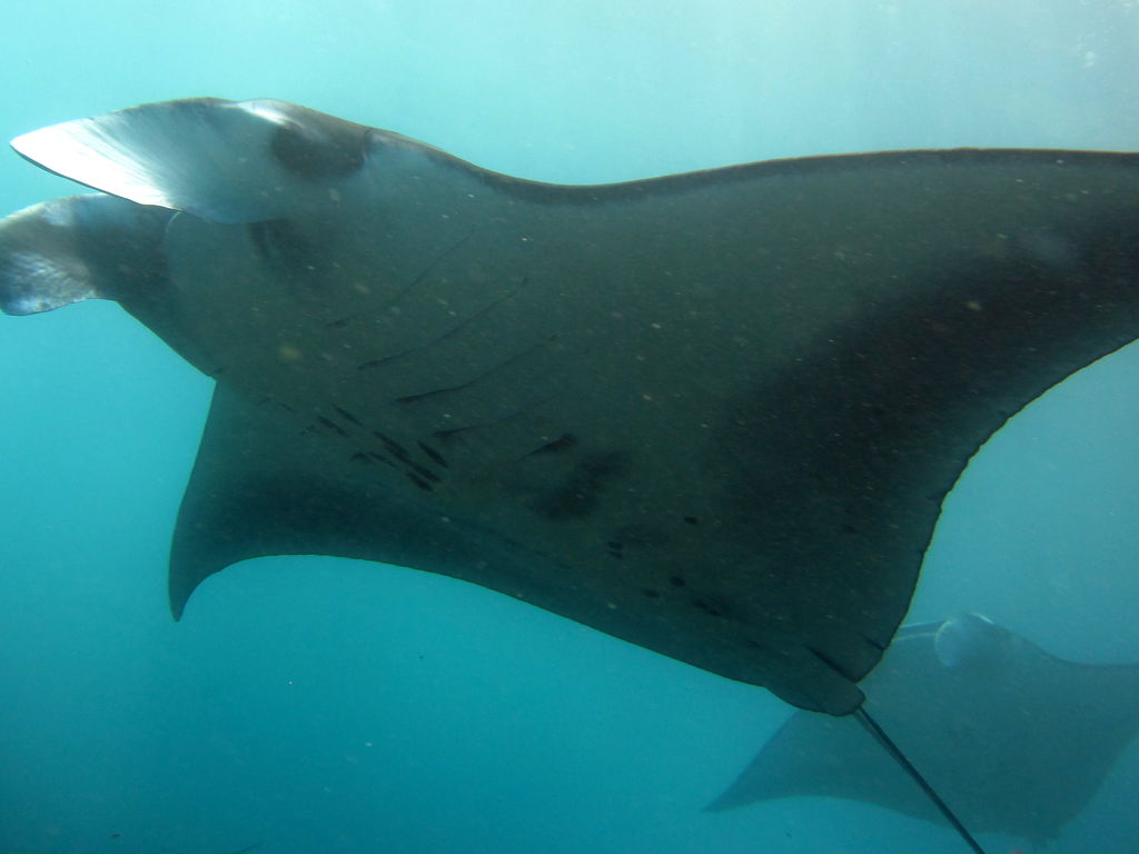 6d3a3e20-e26b-4d6f-a464-753588c3d729