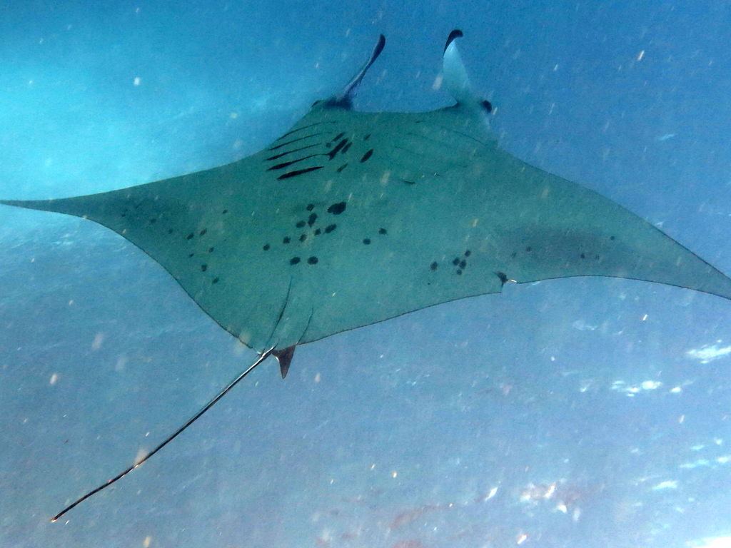 65aaa2d2-c7ed-436e-9891-2e423b8a2b53