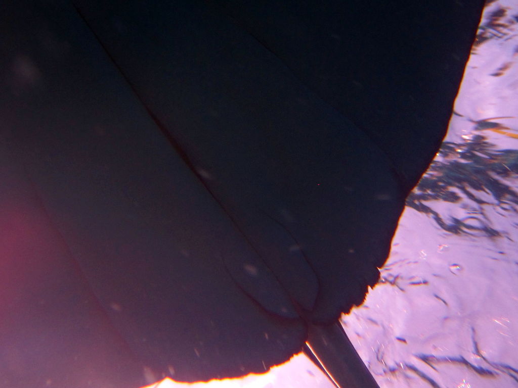 a27049d3-b4bd-421b-ac96-f2991700df1e