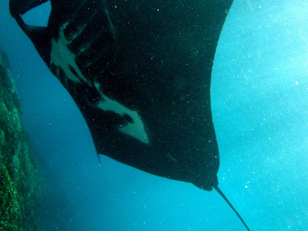 96534324-4279-4c19-bc4c-edc5326342a1