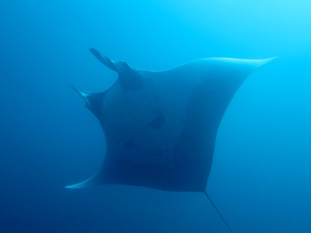 b0b08693-4864-498f-9fbb-ac2fa1bb06e6