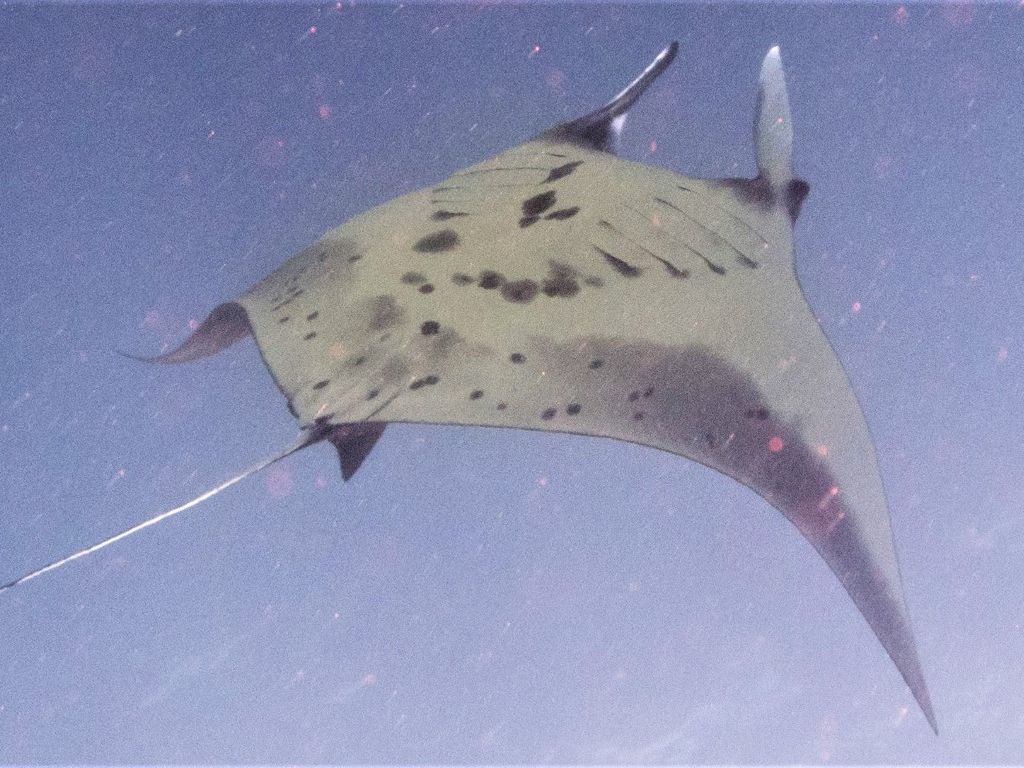 001fccf5-49a8-4e6d-ba1a-6f890e38c6ca