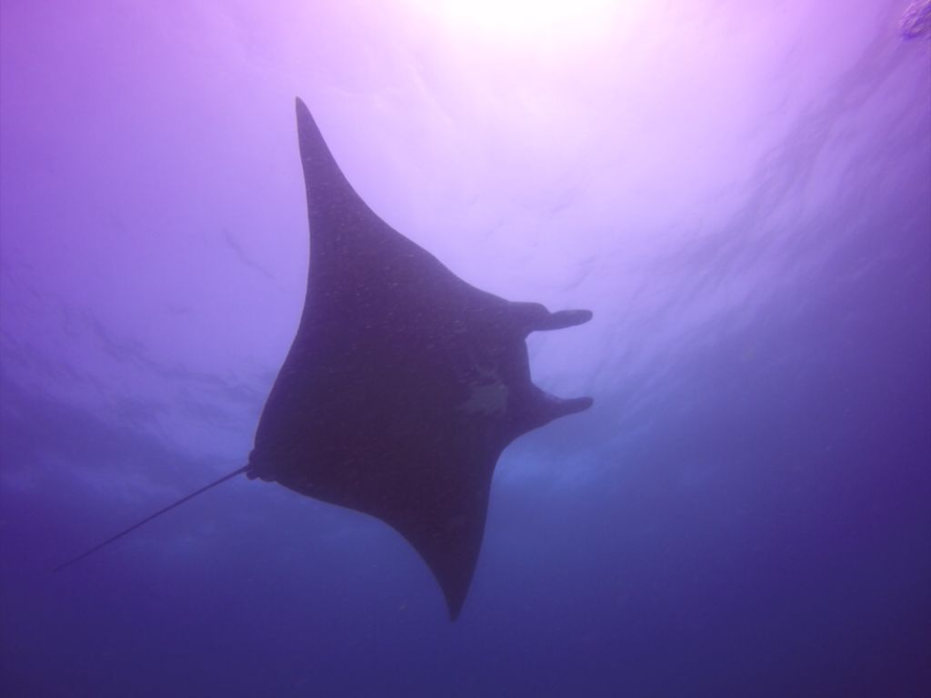 da6092d6-4d9e-4e24-843e-be12788f43c4