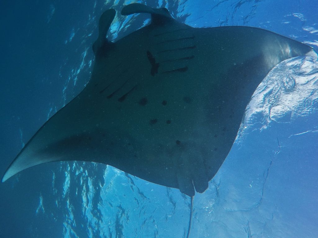 d3c2519e-eeb2-4bfe-a870-32860bc07f5f