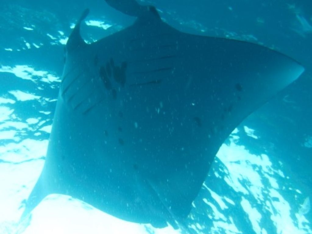 b33e5241-7f74-4f40-b799-2985905056ee