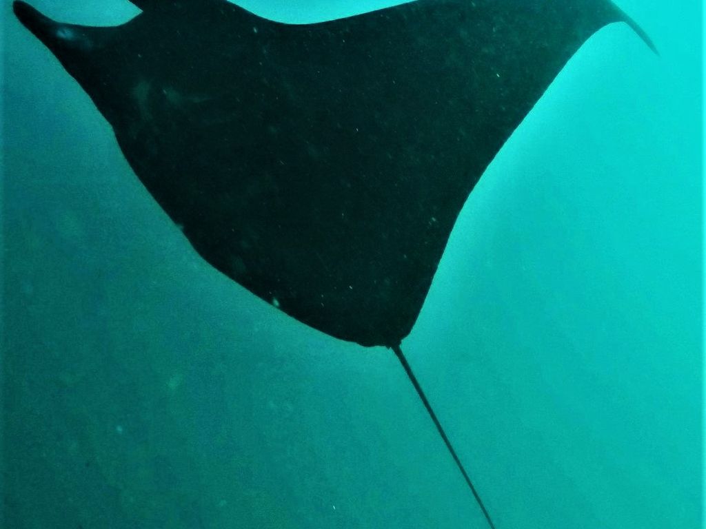 b1598454-014a-4ce4-8096-96abdac3567b