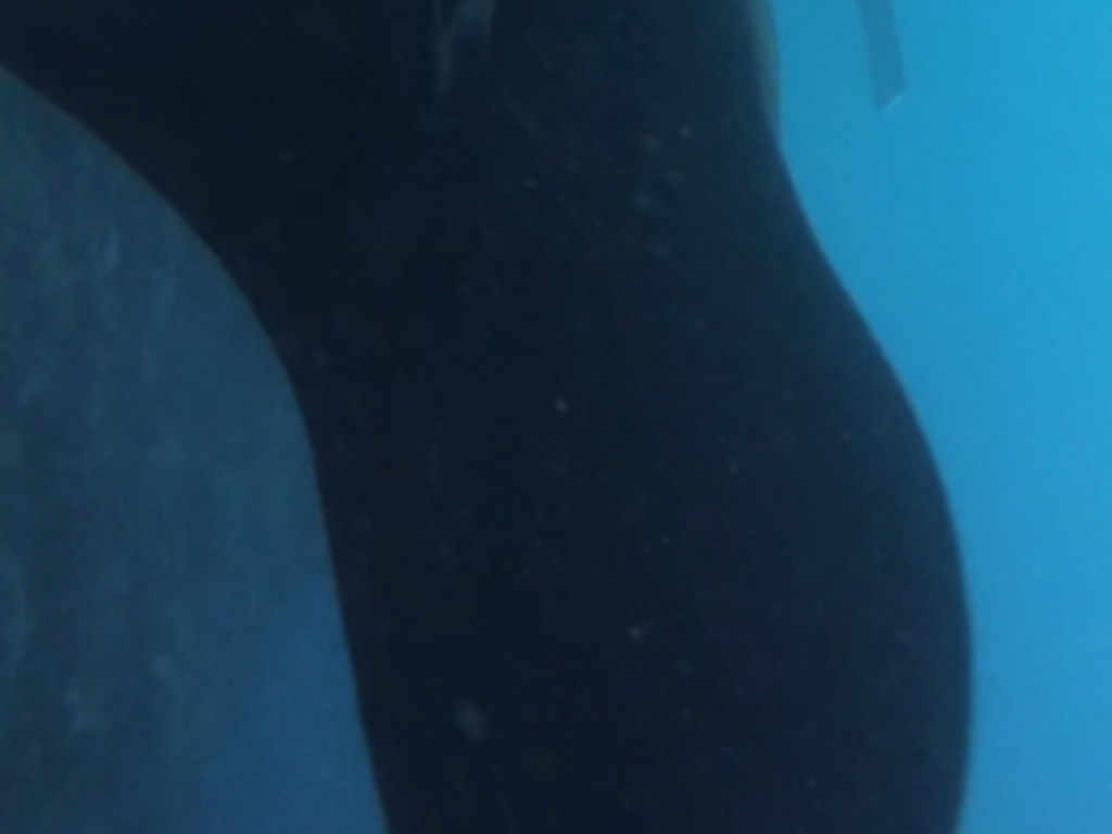 47b965ca-9455-47e2-85f1-952dba529f7b