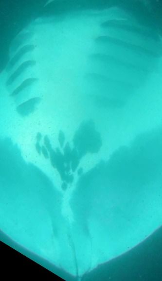 595c5720-475f-4e7f-be24-1f7da8dbdcaf