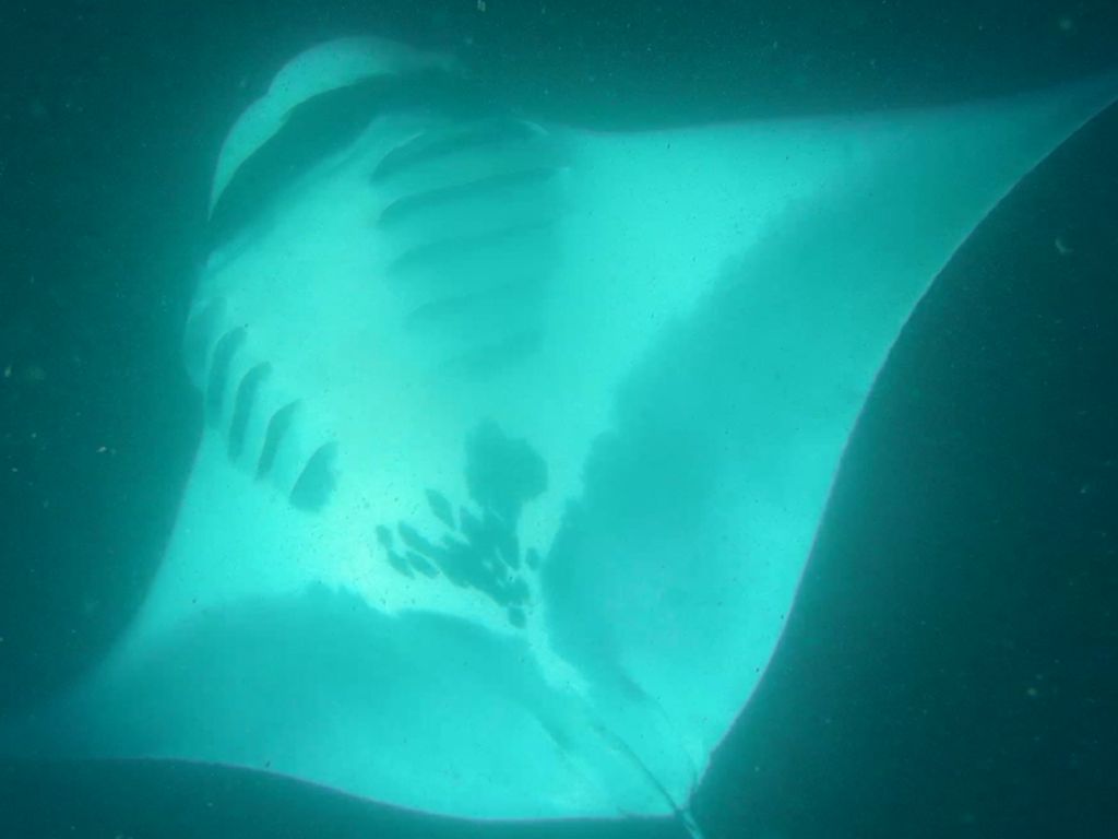 595c5720-475f-4e7f-be24-1f7da8dbdcaf