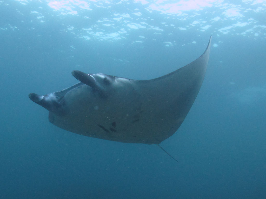 19370f99-a441-4b1a-9c62-bf9aad16977b