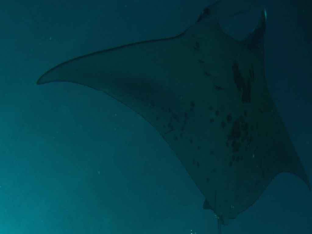 7a748fbb-6221-46b8-b577-514282ecfe09