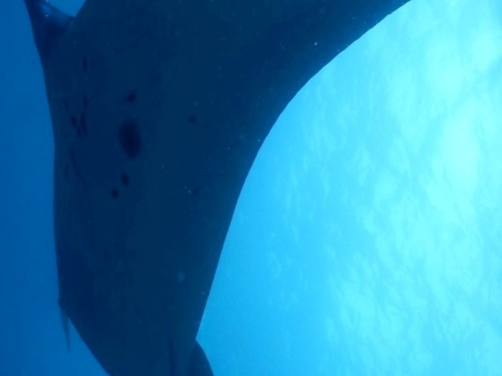 7434e197-bc1b-4f4f-81f5-7c2594032a8e