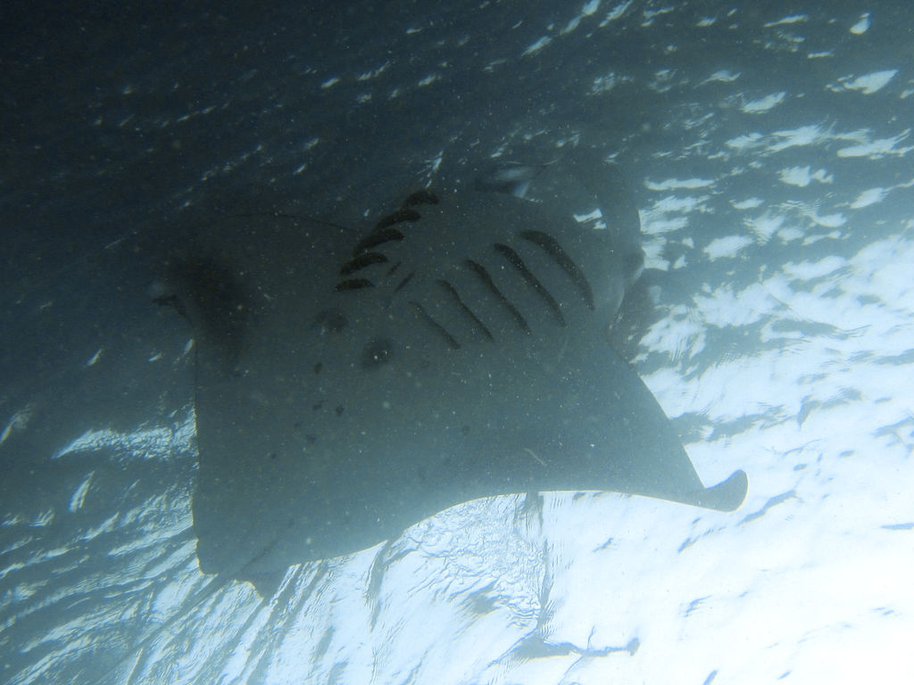 e5240013-76ef-48dc-a0c8-da0a53d653b3