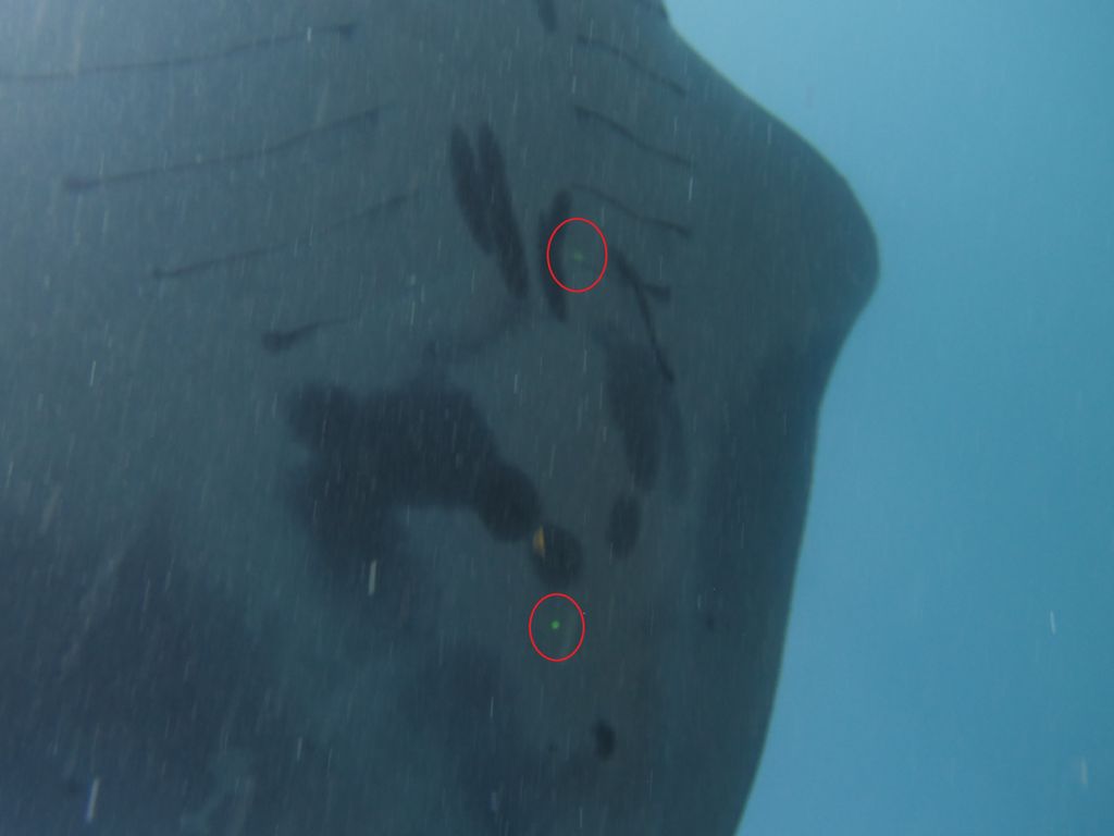 de5f5721-0c9d-4332-aaec-6b018ea7c030