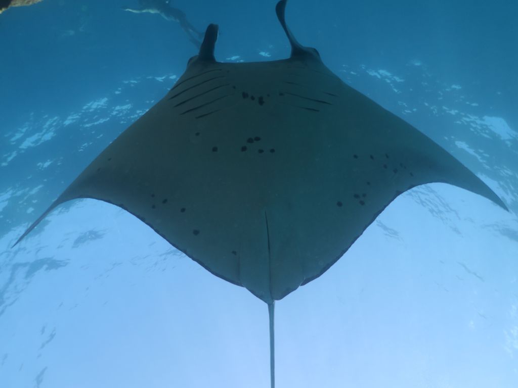 15c42f7b-7969-45ca-896c-1d5ad5596c04