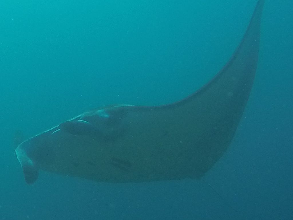 e498ba88-c645-43e6-84d3-5b3747a49c1b