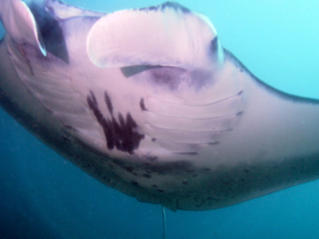 0fbed471-cb95-4f11-8f18-ced13cc99e62