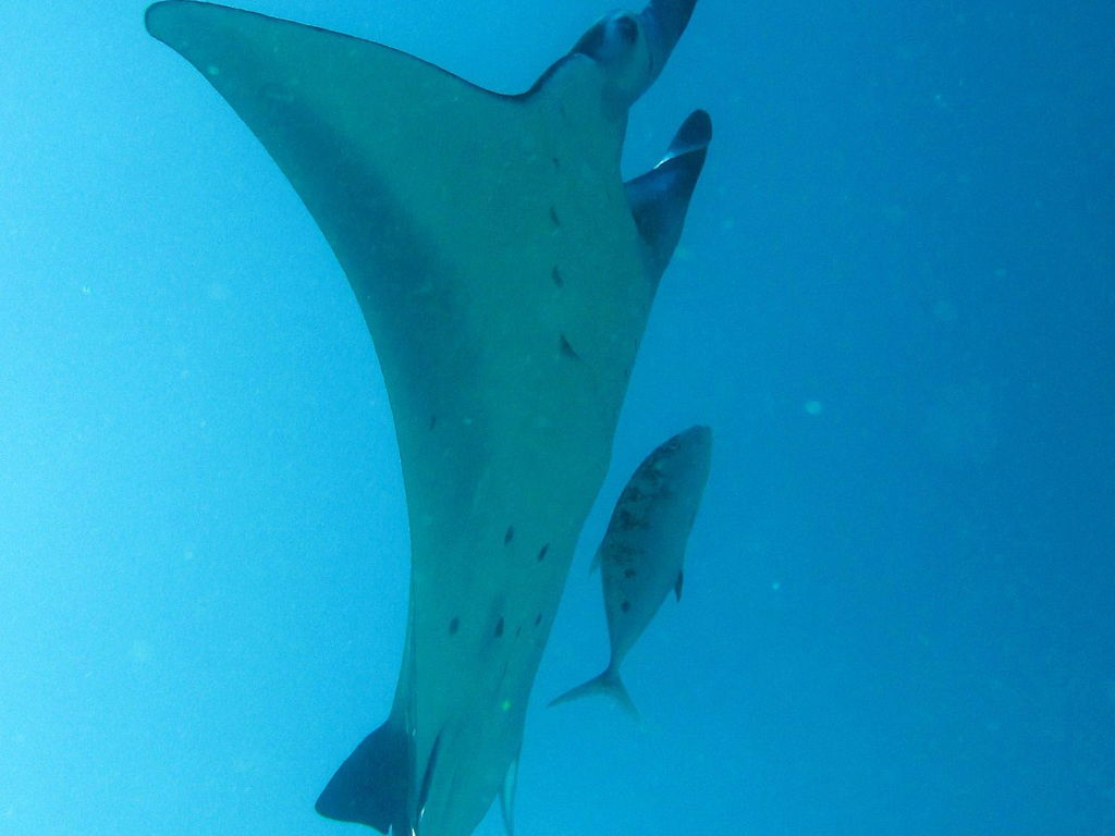 3a2d25fb-101e-41b1-b82c-ab54ab58f82d