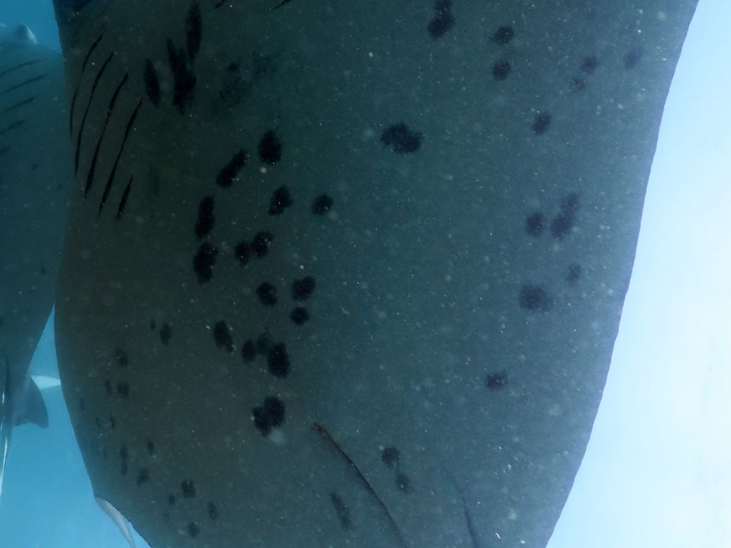 e953b4f3-4ff5-4103-be1d-0f9a0b5508a3