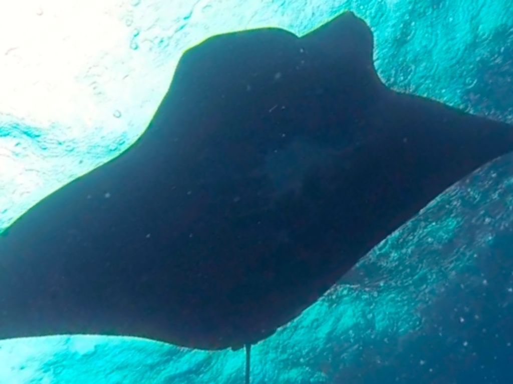 d76b7a87-038f-48d6-8388-c8d75366ea78