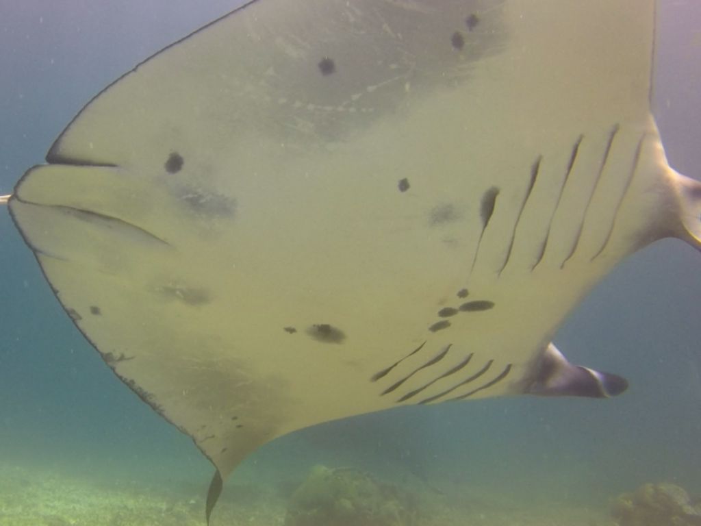 f3e37616-c110-4a1a-97ea-8260f471d38c