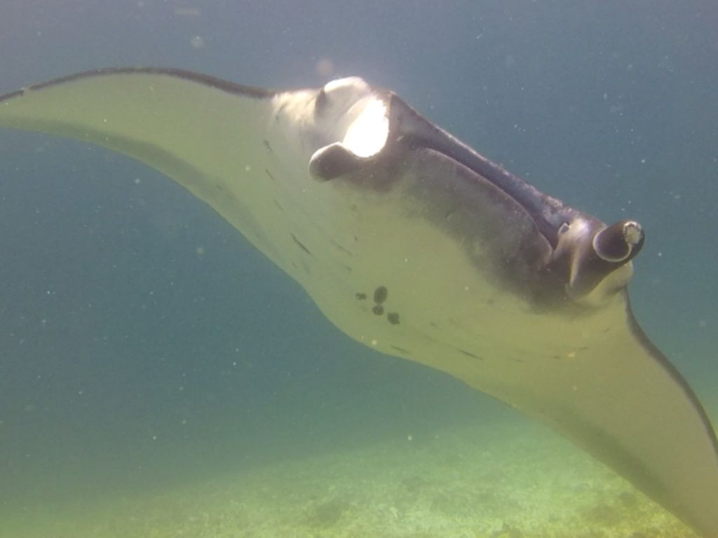 f3e37616-c110-4a1a-97ea-8260f471d38c