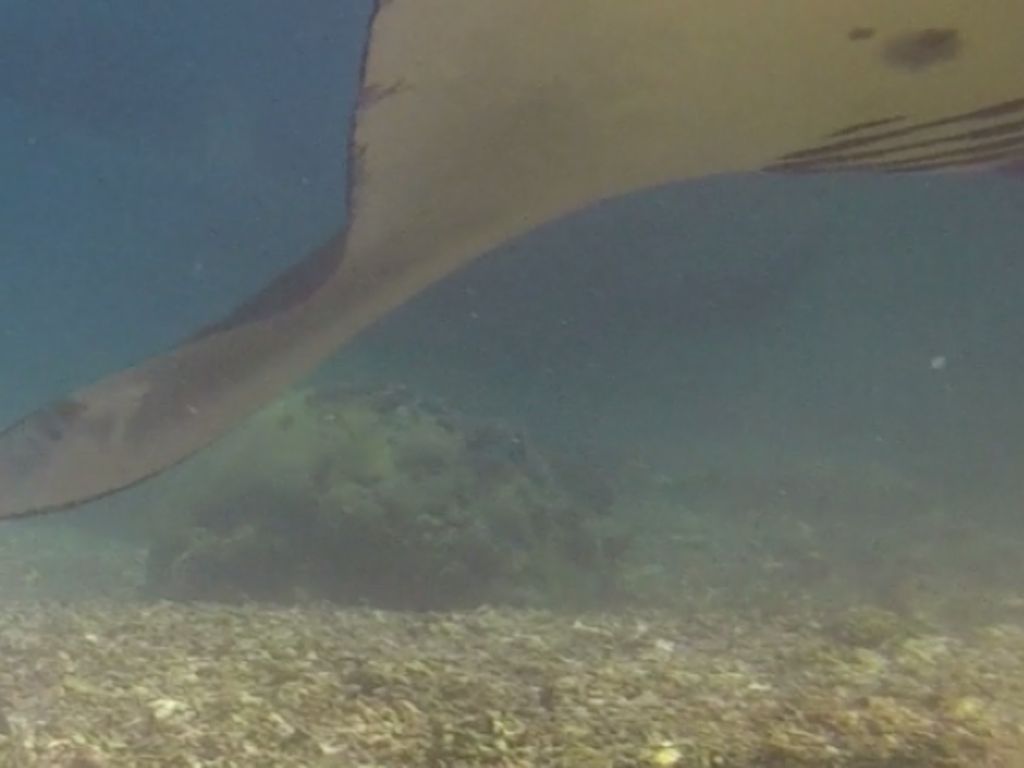 f3e37616-c110-4a1a-97ea-8260f471d38c