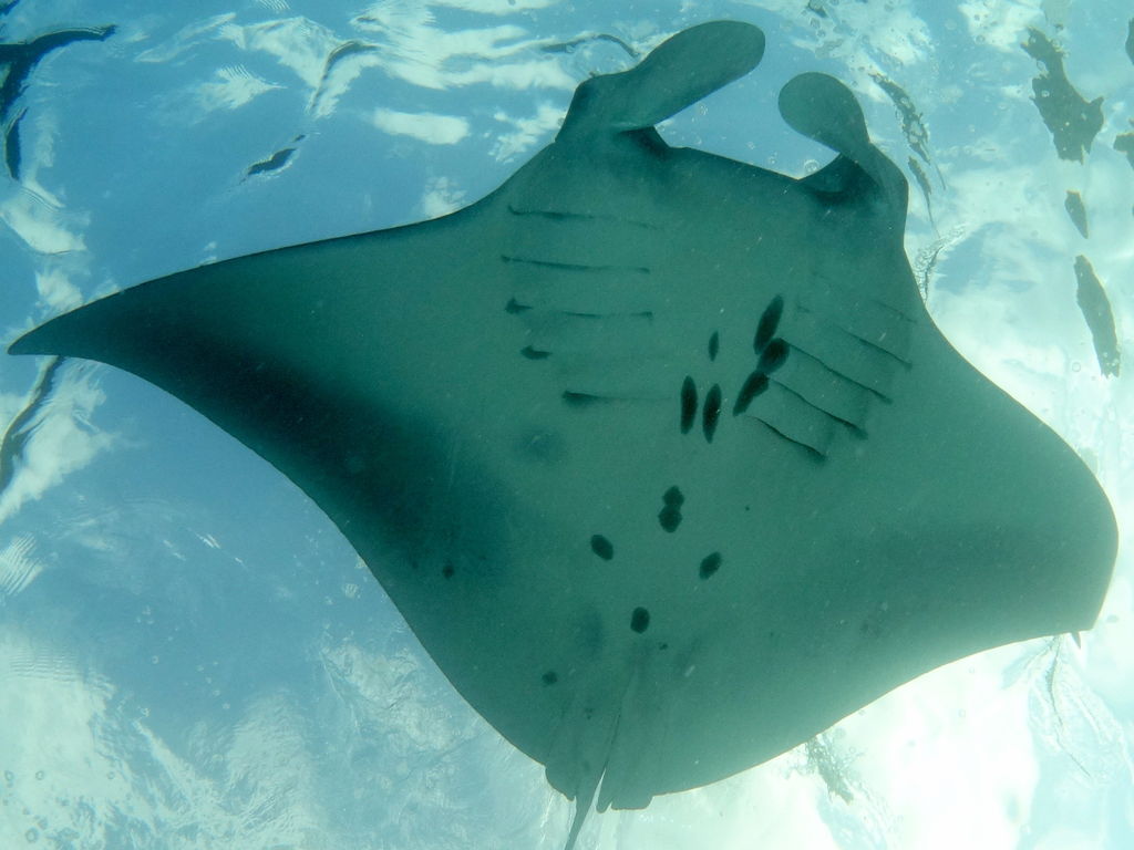 95c5b764-5171-4079-9eee-a03fc3718363