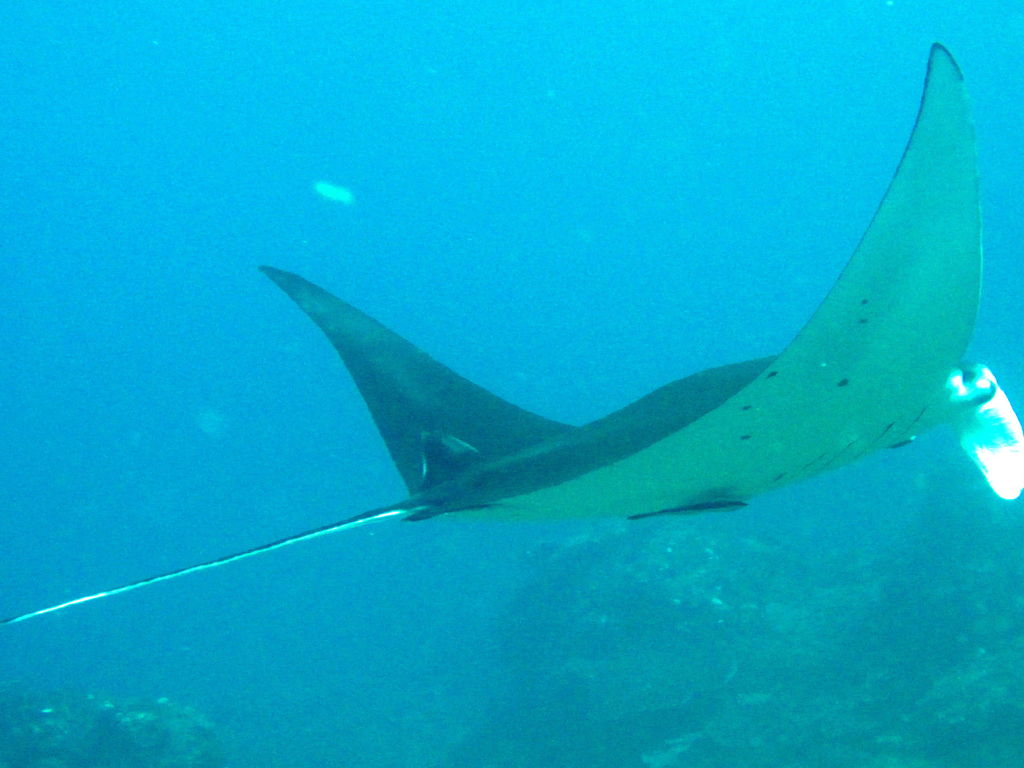 9709459a-d3de-4ab9-825f-c08ae55c961c