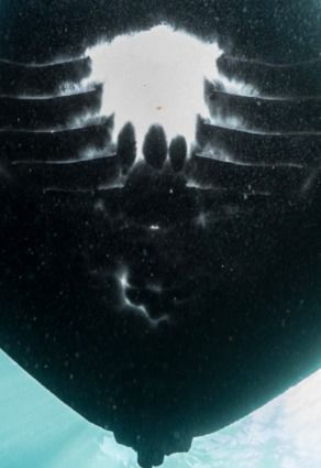 91242716-0514-409b-930c-15dd0ee9c932