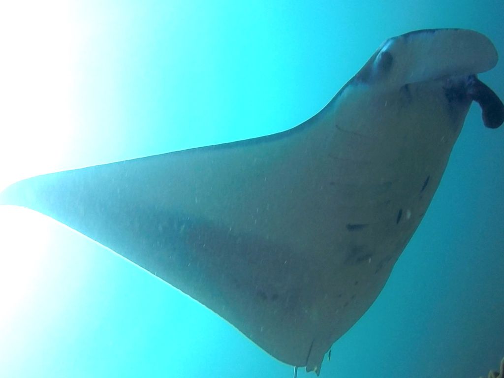 7cf10f00-4122-45b4-a1ec-7cdd108a971e