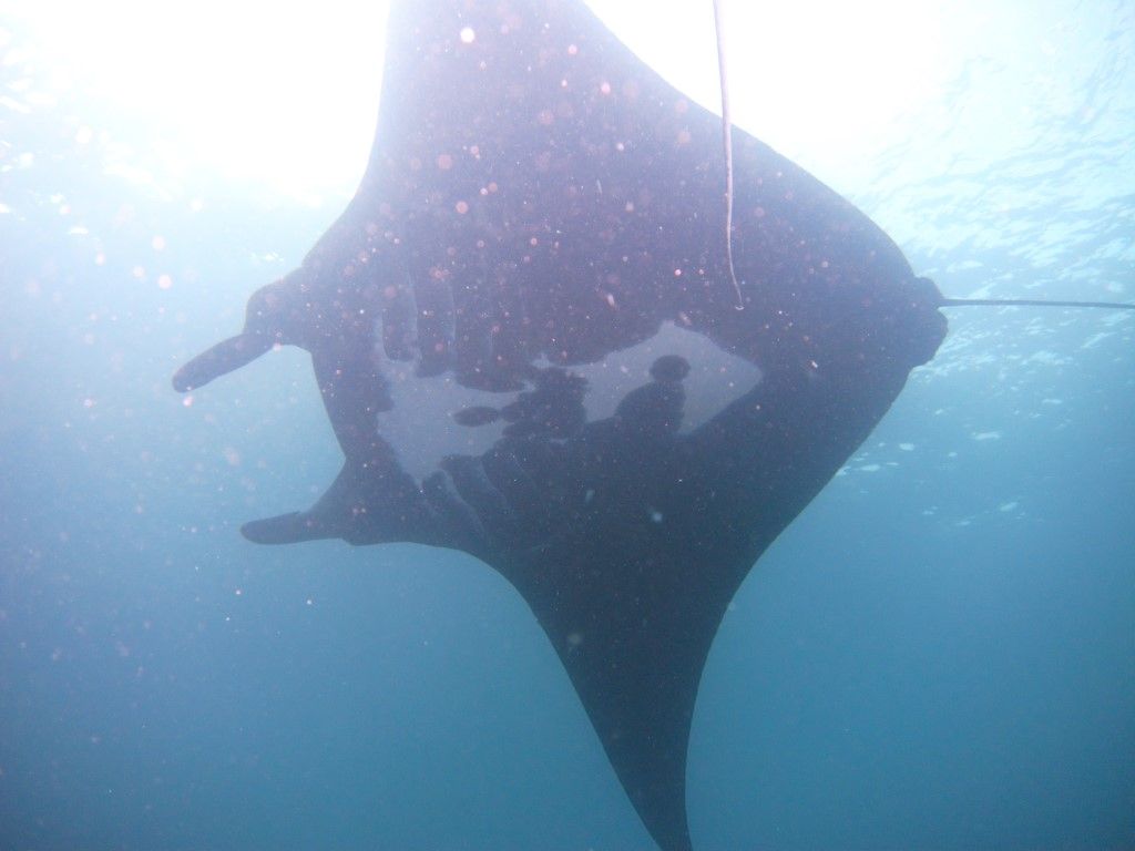 96534324-4279-4c19-bc4c-edc5326342a1