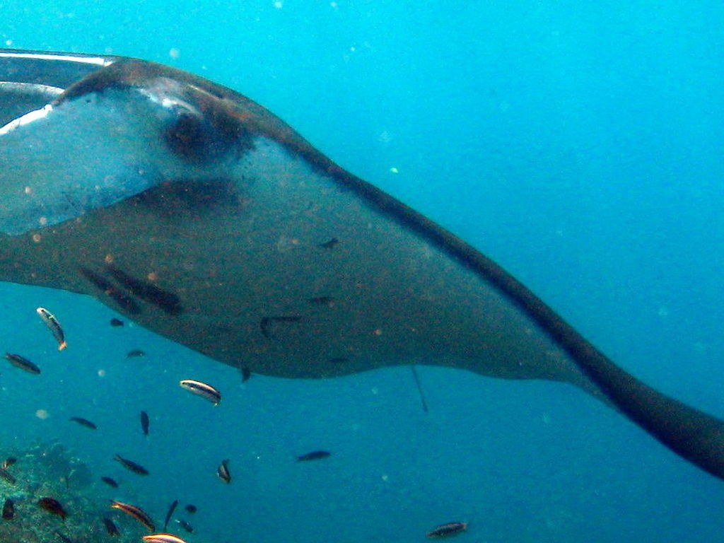 5fb6cc45-d6e9-49a7-9eba-307aafe28d41