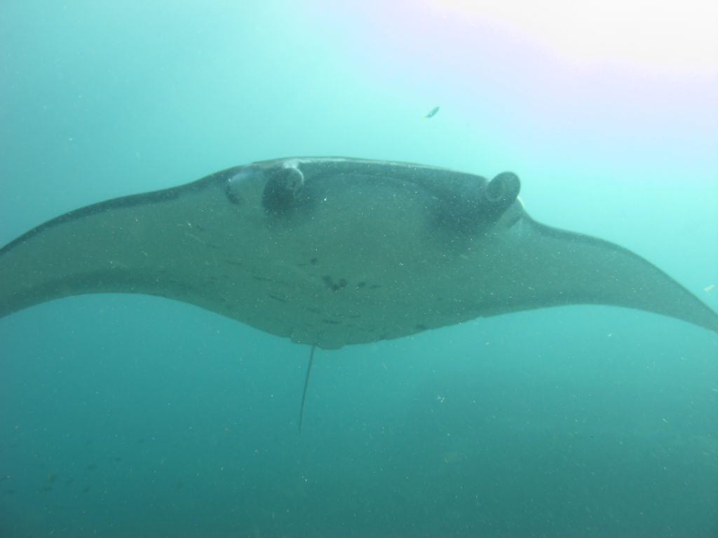 3961db27-b625-4ff2-bc29-3760aac24d72