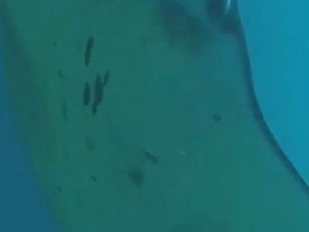 0418bd01-0170-4fe8-b60d-8073acfcde89