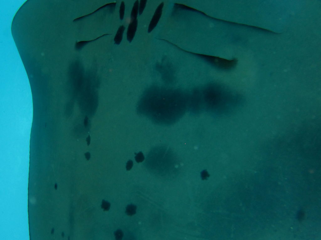 6d3a3e20-e26b-4d6f-a464-753588c3d729