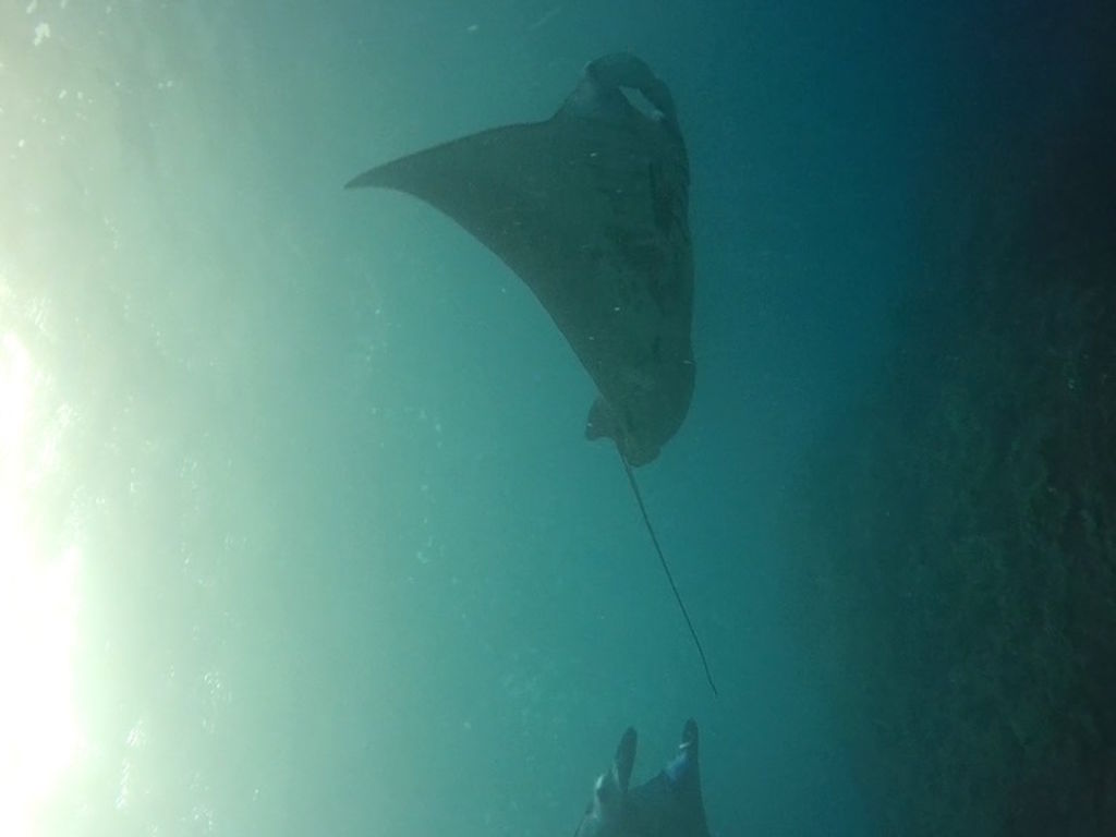 0fbed471-cb95-4f11-8f18-ced13cc99e62