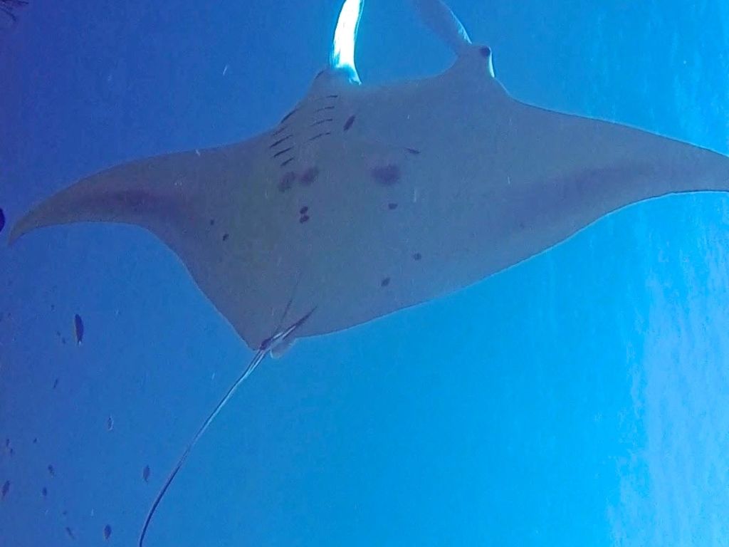 d69be447-c84f-49ea-bab3-674d974d50d6