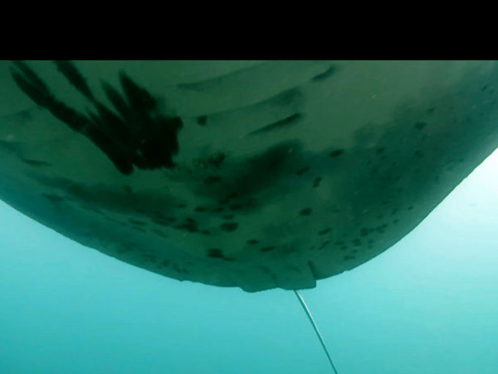 0fbed471-cb95-4f11-8f18-ced13cc99e62