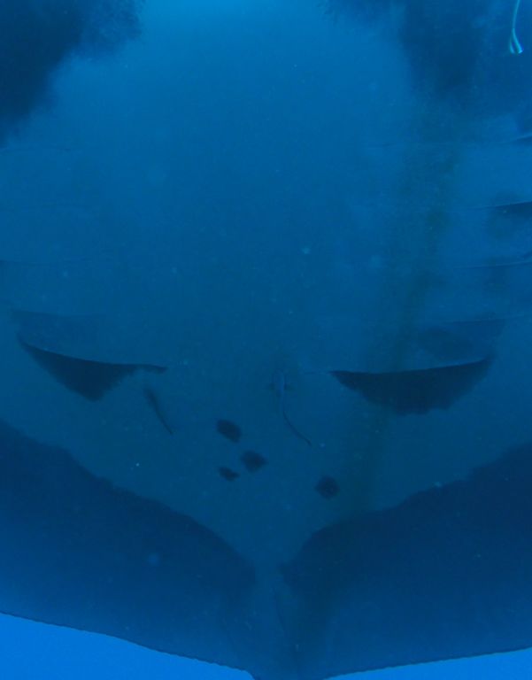 3ad6104f-8f8b-4447-a6cb-ee954c0f75b5