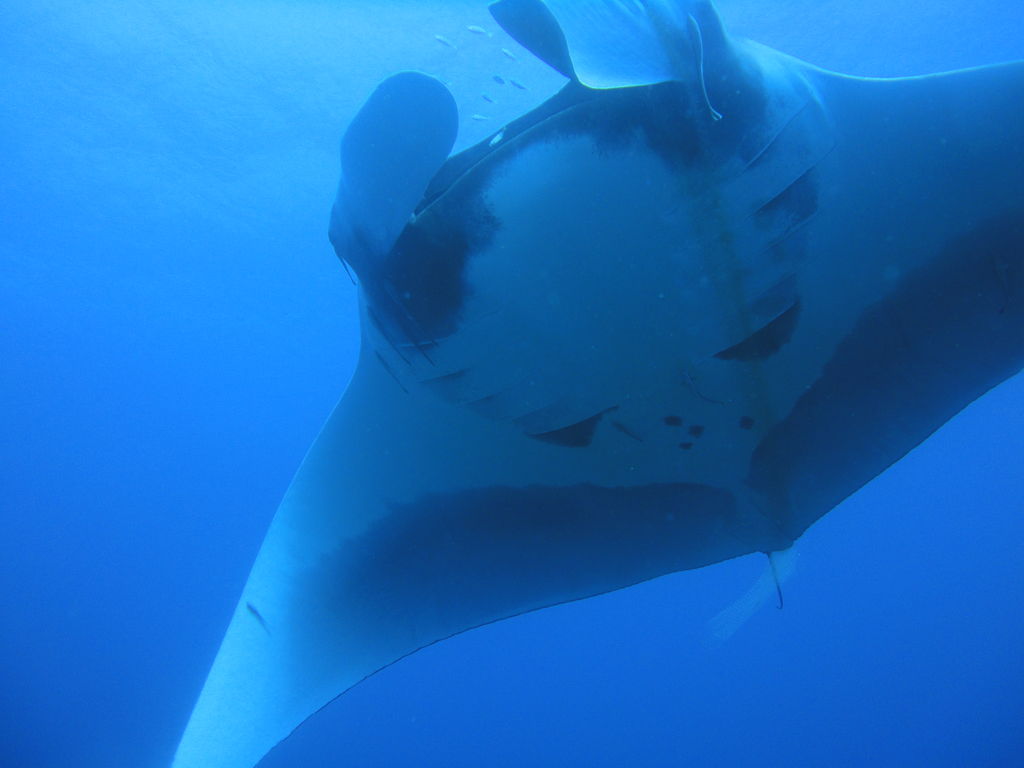 3ad6104f-8f8b-4447-a6cb-ee954c0f75b5