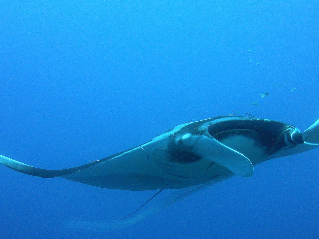 3ad6104f-8f8b-4447-a6cb-ee954c0f75b5