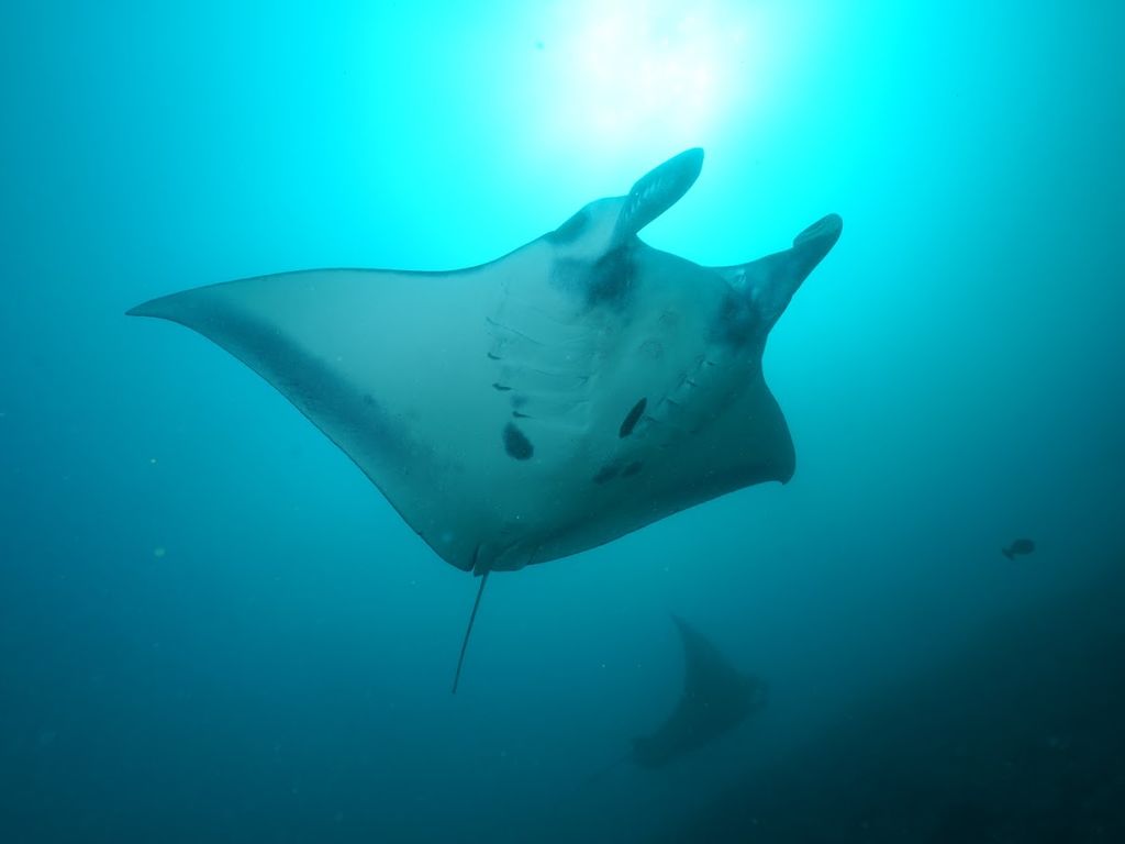 71039fc1-d186-400e-a715-187adcc37082