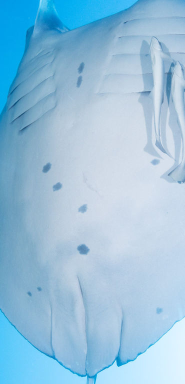 d61f412f-5a85-4638-afb1-feaed9964ccb