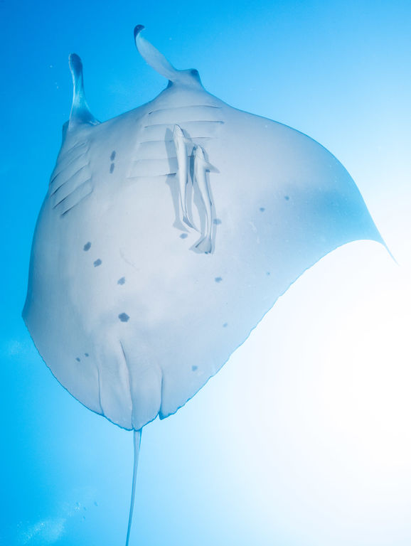 d61f412f-5a85-4638-afb1-feaed9964ccb