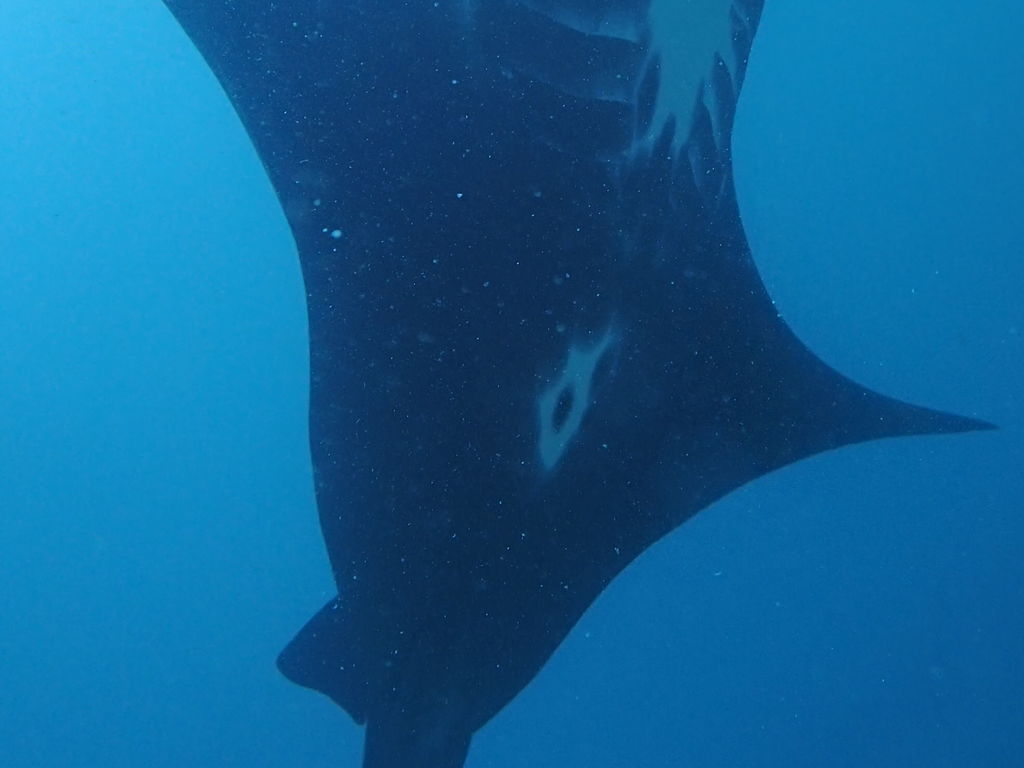 de4abe37-235b-47fb-b385-67139db4f62a