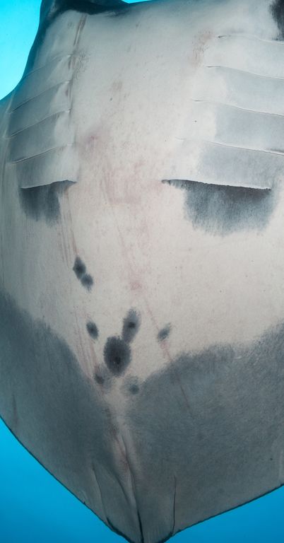 87f45858-f9a3-429b-be08-1931cc1c9e8f