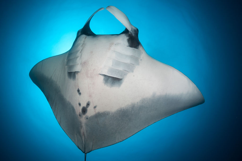 87f45858-f9a3-429b-be08-1931cc1c9e8f